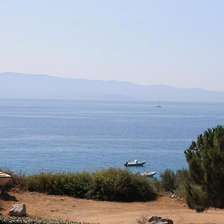 F2 Vue Mer Dans Residence Avec Piscine อฌักซิโอ้ ภายนอก รูปภาพ