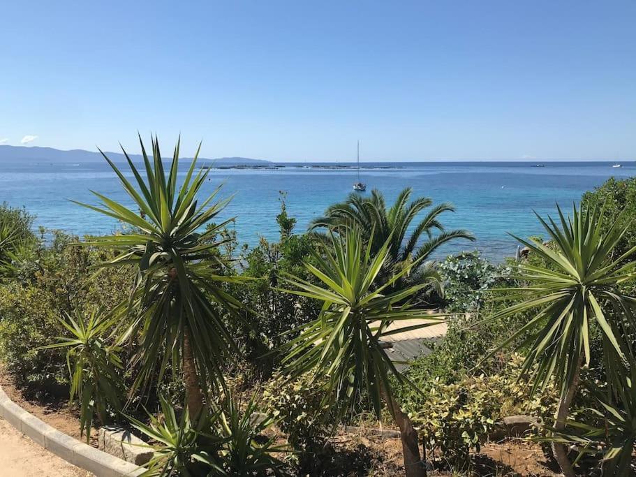 F2 Vue Mer Dans Residence Avec Piscine อฌักซิโอ้ ภายนอก รูปภาพ